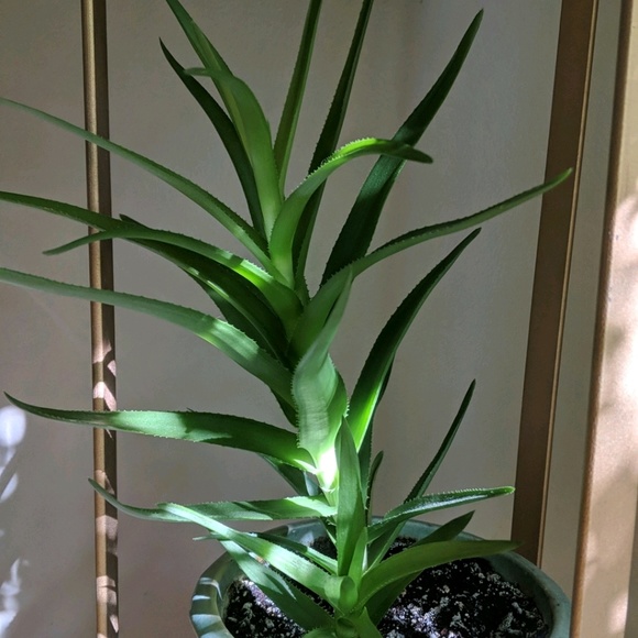 Meet your Posher, Emma - Picture 1 of 1